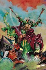 Masters of the Universe / Teenage Mutant Ninja Turtles: Turtles of Grayskull [Rooth Virgin] #1 (2024) Comic Books Masters of the Universe / Teenage Mutant Ninja Turtles: Turtles of Grayskull Prices