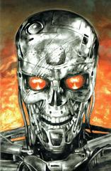 Terminator [Dorman Virgin] #1 (2024) Comic Books Terminator Prices