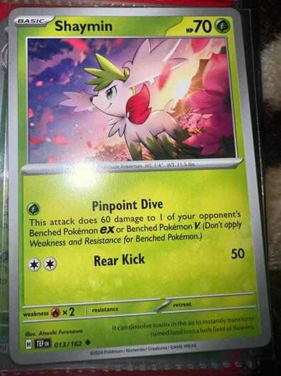 Shaymin #13 photo