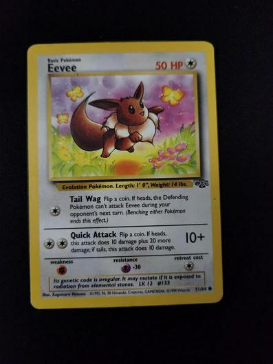 Eevee #51 photo