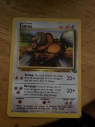 Tauros #47 photo