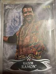 Razor Ramon [Silver] Wrestling Cards 2015 Topps WWE Undisputed Prices