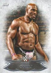 Titus O'Neil Wrestling Cards 2015 Topps WWE Undisputed Prices