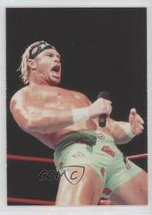 Billy Gunn #34 Wrestling Cards 1998 WWF Superstarz Prices