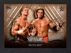 Rated RKO [Bronze] #UTT-29 Wrestling Cards 2016 Topps WWE Undisputed Tag Teams Prices