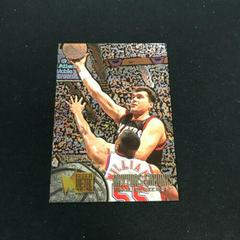 Arvydas Sabonis Basketball Cards 1995 Metal Prices