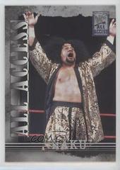 Haku Wrestling Cards 2002 Fleer WWF All Access Prices