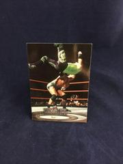 Test #58 Wrestling Cards 2003 Fleer WWE WrestleMania XIX Prices