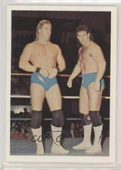 Brad Armstrong, Tim Horner #108 Wrestling Cards 1988 Wonderama NWA Prices