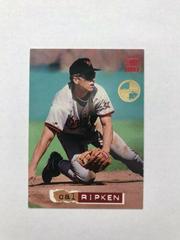 Cal Ripken Jr. [Members Only] Baseball Cards 1994 Stadium Club Prices
