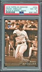 Miguel Andujar [Sepia] #23A Baseball Cards 2018 Topps on Demand Black & White Prices