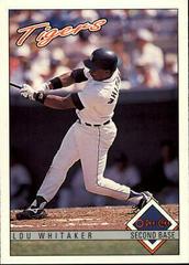 Lou Whitaker Baseball Cards 1993 O Pee Chee Prices