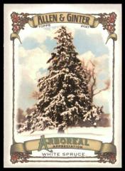 White Spruce #AA-4 Baseball Cards 2021 Topps Allen & Ginter Arboreal Appreciation Prices