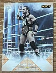 Adam Cole [Orange] #52 Wrestling Cards 2020 Topps WWE Undisputed Prices