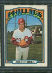 Joe Hoerner #482 Baseball Cards 1972 O Pee Chee Prices