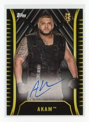 Akam [Silver] #A-AK Wrestling Cards 2018 Topps WWE NXT Autographs Prices