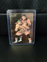 Steiner Brothers Wrestling Cards 1994 Action Packed WWF Prices