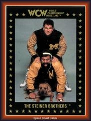 The Steiner Brothers Wrestling Cards 1991 Championship Marketing WCW Prices