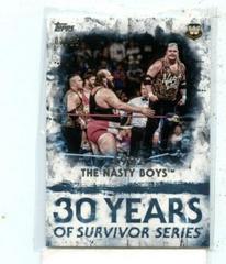 The Nasty Boys [Blue] #SS-6 Wrestling Cards 2018 Topps WWE Undisputed 30 Years of Survivor Series Prices