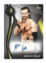 Adam Cole Wrestling Cards 2019 Topps WWE NXT Autographs Prices