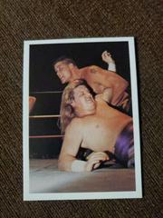 Sean Royal vs. Bobby Eaton Wrestling Cards 1988 Wonderama NWA Prices