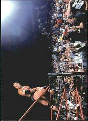 The Fans Bring It Wrestling Cards 2000 WWF Rock Solid Prices
