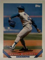 Pedro Martinez #557 Baseball Cards 1993 Topps Prices