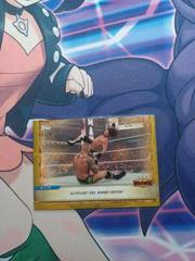 AJ Styles Def. Randy Orton [Gold] #96 Wrestling Cards 2020 Topps WWE Road to WrestleMania Prices