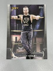 Adam Cole #49 Wrestling Cards 2021 Topps WWE Undisputed Prices