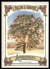 Sycamore Baseball Cards 2021 Topps Allen & Ginter Arboreal Appreciation Prices