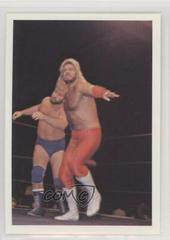 Michael Hayes Wrestling Cards 1988 Wonderama NWA Prices