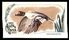 Goldeneye #MD-5 Baseball Cards 2022 Topps Allen & Ginter Mini Ducks Prices