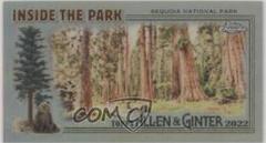 Sequoia National Park Baseball Cards 2022 Topps Allen & Ginter Chrome Inside the Park Minis Prices