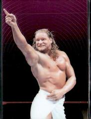 Val Venis Wrestling Cards 1999 WWF SmackDown Chromium Prices