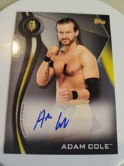 Adam Cole [Gold] #A-AC Wrestling Cards 2019 Topps WWE NXT Autographs Prices