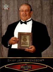Chief Jay Strongbow #1 Wrestling Cards 2015 Topps WWE Road to Wrestlemania Hall of Fame Prices