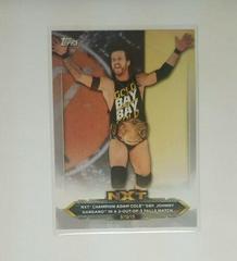Adam Cole, Johnny Gargano [Silver] #17 Wrestling Cards 2020 Topps WWE NXT Prices
