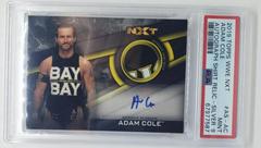 Adam Cole [Silver] #A-AC Wrestling Cards 2019 Topps WWE NXT Autographs Prices
