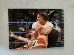 Domino #35 Wrestling Cards 2007 Topps Action WWE Prices