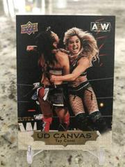 Tay Conti [Gold] #C3 Wrestling Cards 2022 Upper Deck AEW UD Canvas Prices