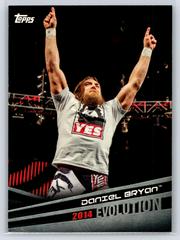 Daniel Bryan Wrestling Cards 2018 Topps WWE Evolution Prices
