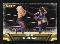 Billie Kay #F-42 Wrestling Cards 2017 Topps WWE Then Now Forever Finishers and Signature Moves Prices