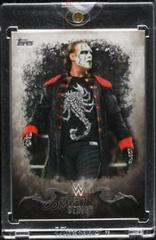 Sting #34 Wrestling Cards 2016 Topps WWE Undisputed Prices