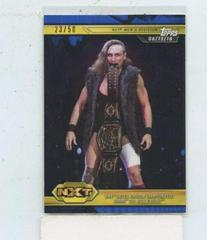 Pete Dunne & Roderick Strong def. SAnitY [Blue] Wrestling Cards 2019 Topps WWE NXT Prices