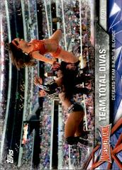Team Total Divas Wrestling Cards 2017 Topps WWE Road To Wrestlemania Prices