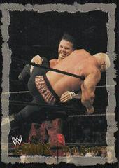 Matt Hardy [Gold] Wrestling Cards 2004 Fleer WWE Chaos Prices