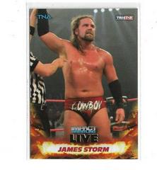 James Storm [Gold] Wrestling Cards 2013 TriStar TNA Impact Live Prices