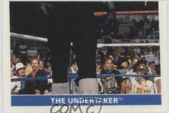 The Undertaker #145 Wrestling Cards 1991 WWF Superstars Stickers Prices