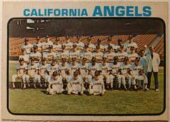 Angels Team #243 Baseball Cards 1973 O Pee Chee Prices