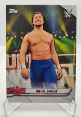 Angel Garza Wrestling Cards 2021 Topps WWE NXT Alumni Prices